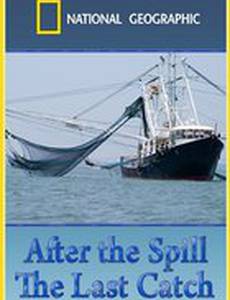 После разлива нефти: Последний улов