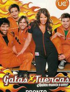 Кошечки и орехи