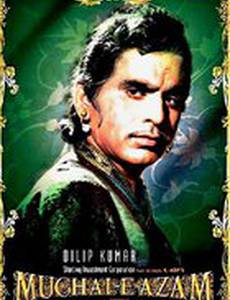 Великий Могол