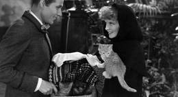 Кадр из фильма "Маленькие женщины" - 1