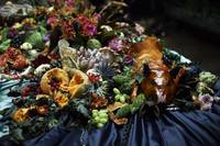 Кадр Ганнибал