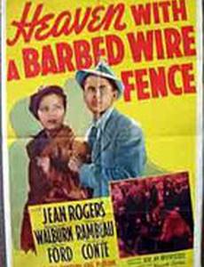 Небо с забором колючей проволоки