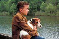 Кадр Мой пёс Скип