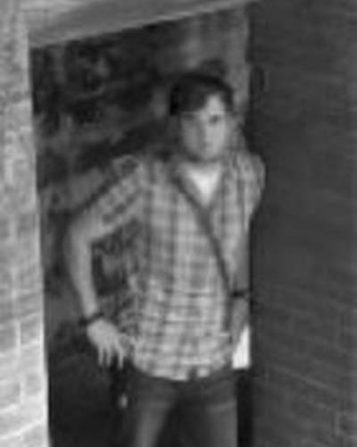 Джейсан Вебб фото