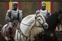 Кадр Мерлин