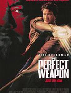 Совершенное оружие