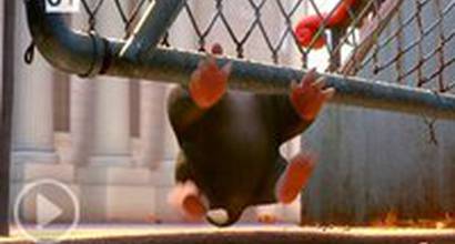 Русский ТВ-ролик №5