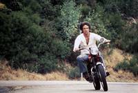 Кадр Шампунь