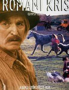 Цыганский закон