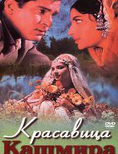 Красавица Кашмира