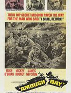 Засада в заливе