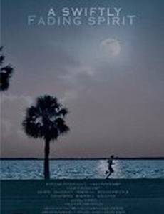 A Swiftly Fading Spirit