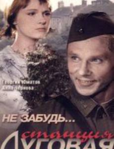 Не забудь... станция Луговая