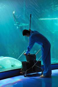 Кадр Рай океана