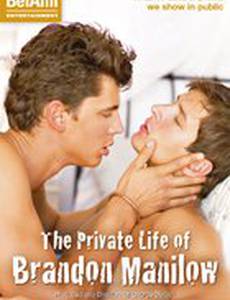 Частная жизнь Брэндона Манилова (видео)