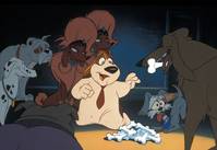 Кадр Пес из Лас-Вегаса