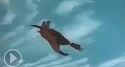 Мультфильм 