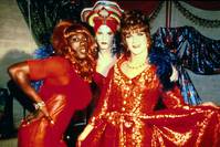 Кадр Вонг Фу, с благодарностью за всё! Джули Ньюмар