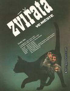 Животные в городе