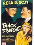 Постер из фильма "Черные драконы" - 1