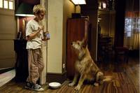 Кадр Мистер Гафф