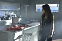 Кадр Красавица и чудовище