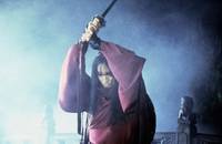 Кадр Бишунмо – летящий воин