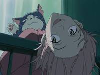 Кадр Фури-Кури