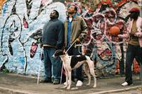 Кадр Медовый месячник