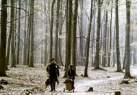 Кадр Пуговица