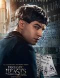 Постер из фильма "Фантастические твари и где они обитают" - 1