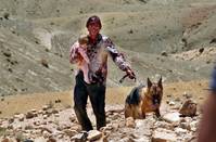 Кадр У холмов есть глаза