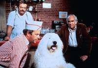 Кадр Лохматый прокурор