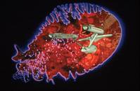 Кадр Звездный путь