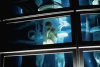 Кадр Шестой день