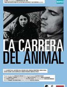 Бег животного