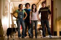 Кадр Отель для собак