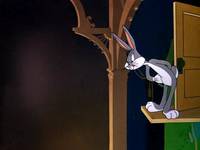 Кадр Кролик ныряющий с высоты