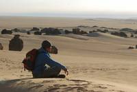 Кадр Willi und die Wunder dieser Welt