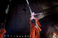 Кадр Медвежий поцелуй