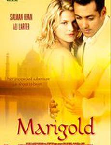 Мариголд: Путешествие в Индию