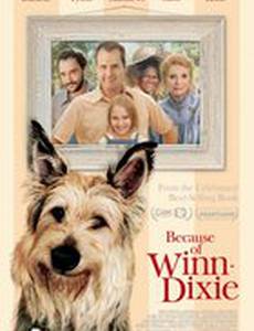 Благодаря Винн Дикси