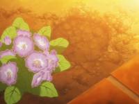 Кадр Касимаси: Девушка встречает девушку