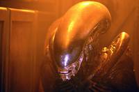 Кадр Чужой 3