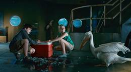 Кадр из фильма "История дельфина" - 2