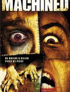 Гибрид (видео)