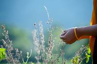 Кадр Vara: A Blessing