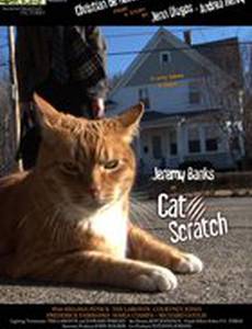 Cat Scratch