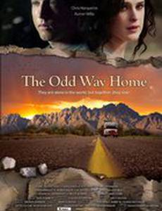 Странный путь домой