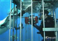 Кадр Открытое море